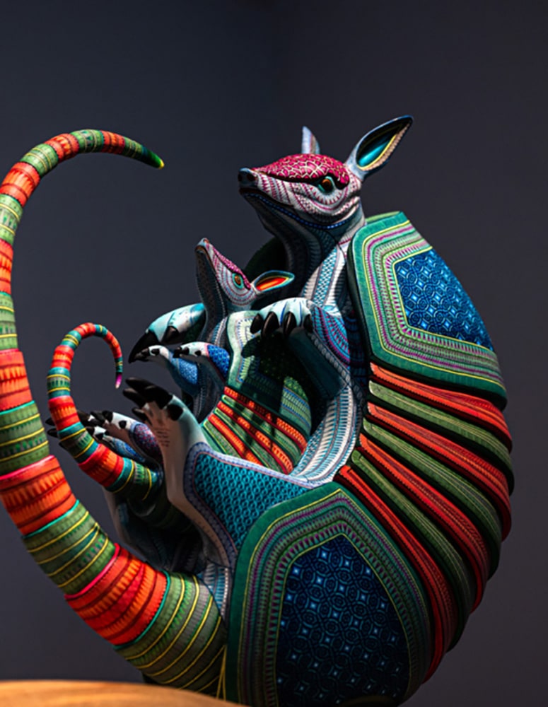 armadillo